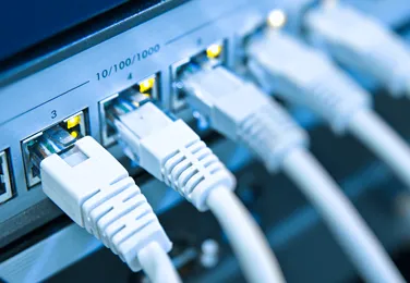 Konfiguracja switcha oraz innych urzadzen sieciowych Switch z wpietymi kablami